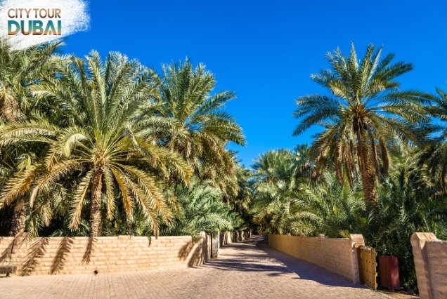 Al Ain City Tour
