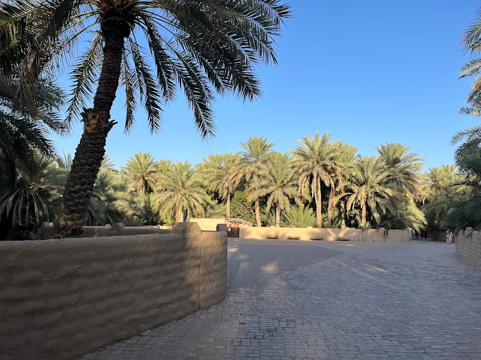 Al Ain Oasis in Abu Dhabi