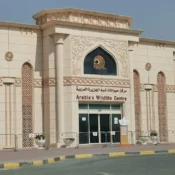 Arabian Wildlife Park in Sharjah