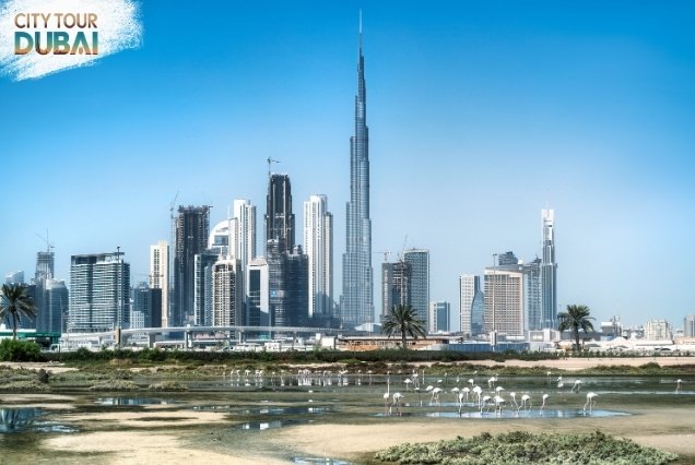 Burj Khalifa Tour from Abu Dhabi