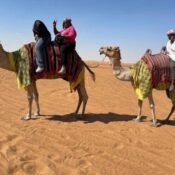 Best Things to Do on a Desert Safari Trip in Dubai