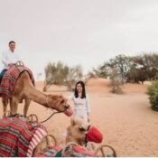 Al Ain Camel Market