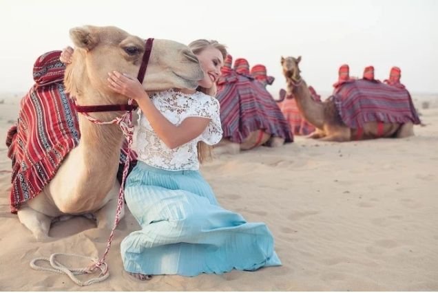Camel Ride Dubai - 1 Hour