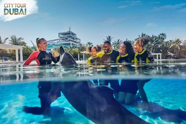 Dolphin Bay Atlantis Tickets - 30 Minutes