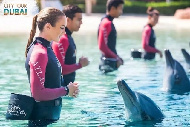 Dolphin Bay Atlantis Tickets - 30 Minutes