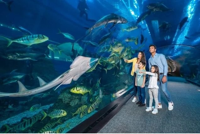 Top Aquariums in the UAE