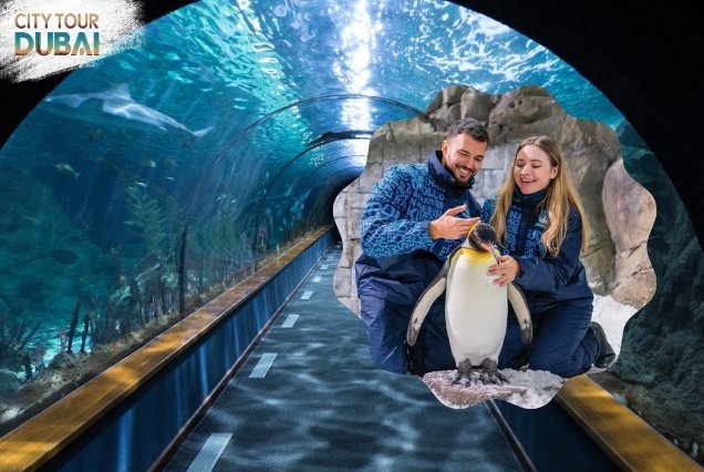 Dubai Aquarium and Ski Dubai Tickets
