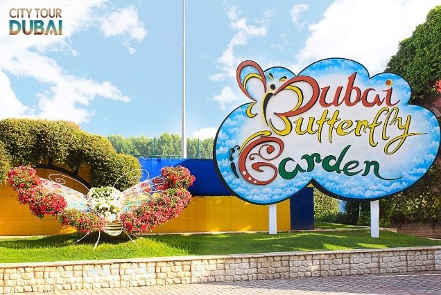 Dubai Butterfly Garden Tickets - 3 Hours