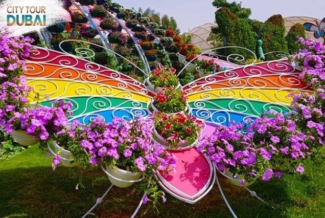 Dubai Butterfly Garden Tickets - 3 Hours