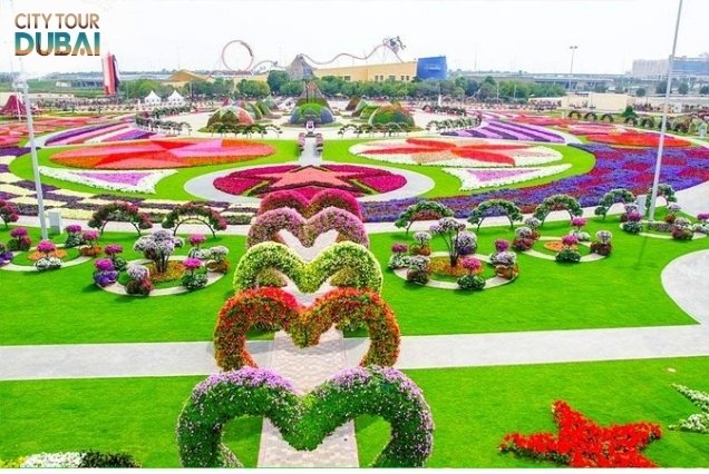 Dubai Butterfly Garden Tickets - 3 Hours