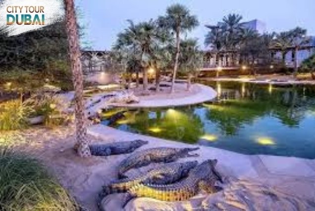 Dubai Crocodile Park Tickets - 3-4 Hours