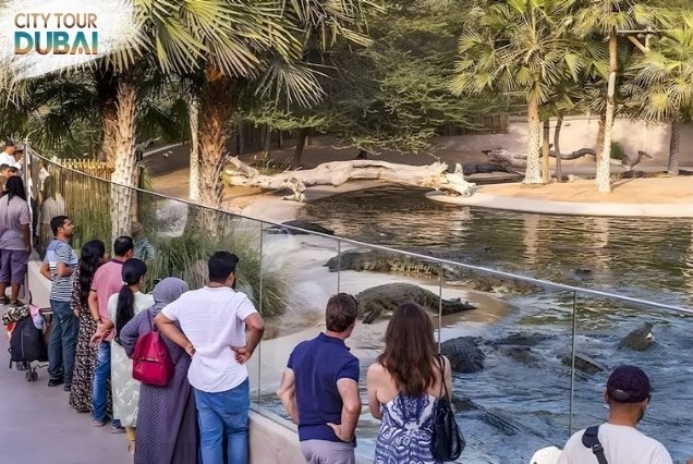 Dubai Crocodile Park Tickets - 3-4 Hours