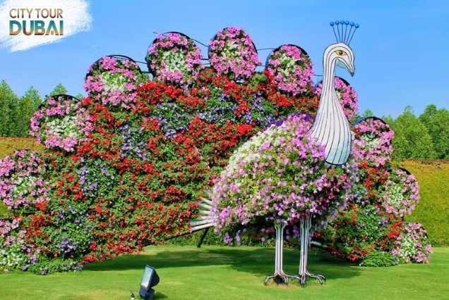 Dubai Miracle Garden With Global Village Combo Tickets