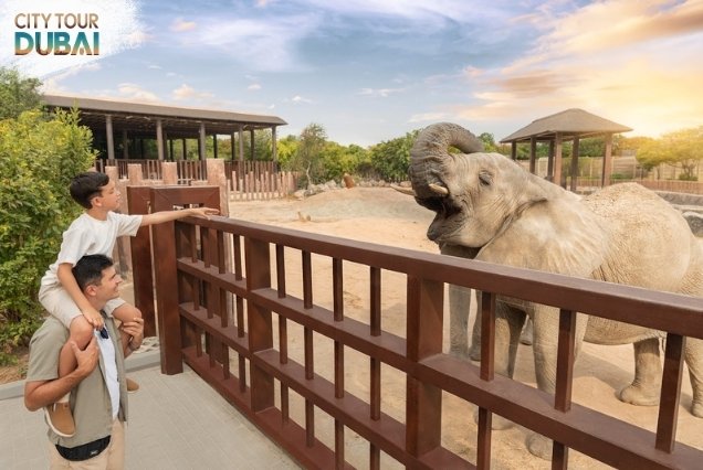 Dubai Safari Park Tickets - 8 Hours