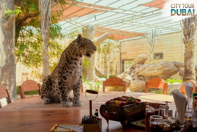 Emirates Park Zoo Abu Dhabi