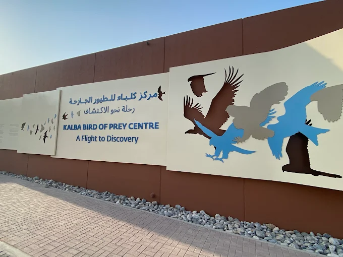 Kalba Bird of Prey Centre