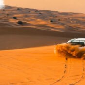 Liwa Desert Safari