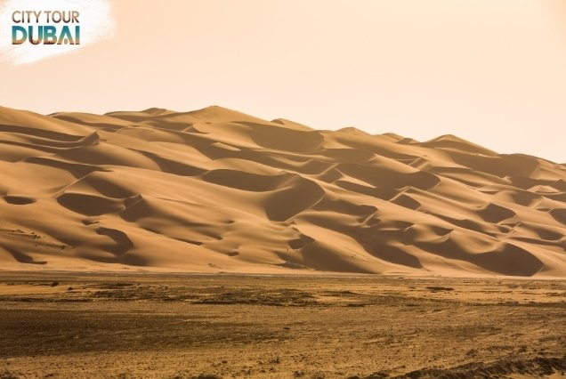 Liwa Desert Safari