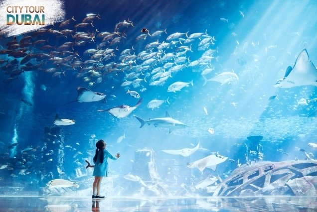 Lost Chambers Aquarium Tickets - 1-2 Hours