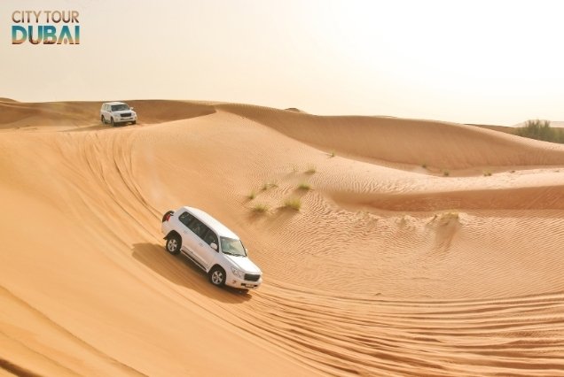 Morning Desert Safari Dubai