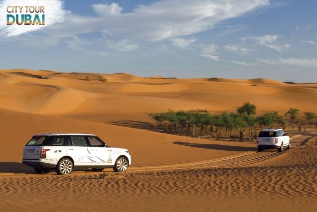 Platinum Desert Safari Dubai