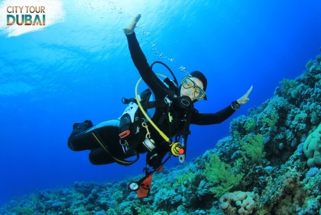 Scuba Diving in Dubai - 30 Minutes