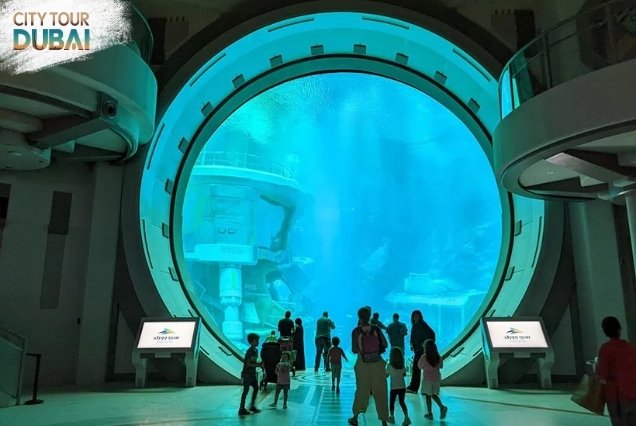 Seaworld Abu Dhabi Tickets