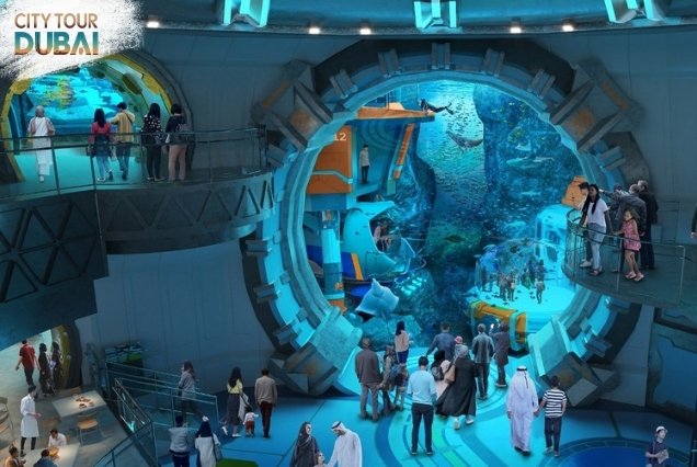 Seaworld Yas Island Abu Dhabi
