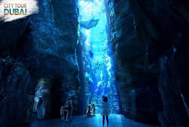 Seaworld Abu Dhabi Tickets