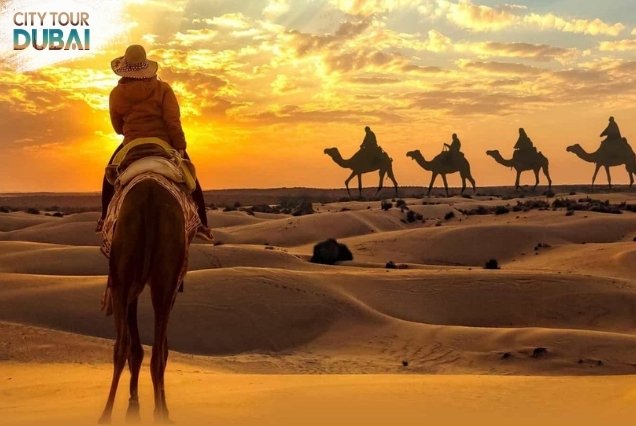 Sunrise Desert Safari in Dubai - 4 Hours