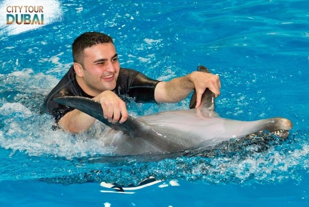 Swim with Dolphins in Dubai - 20 minutes