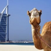 Top Attractions in Dubai