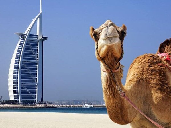 Top Attractions in Dubai