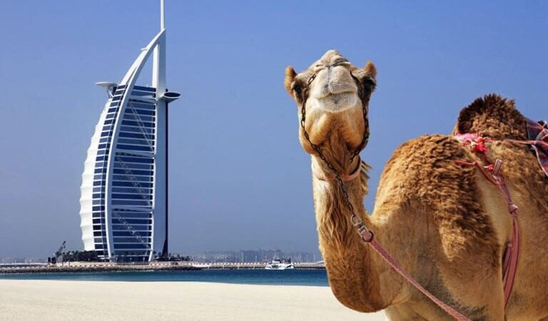 Top Attractions in Dubai