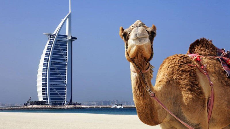Top Attractions in Dubai